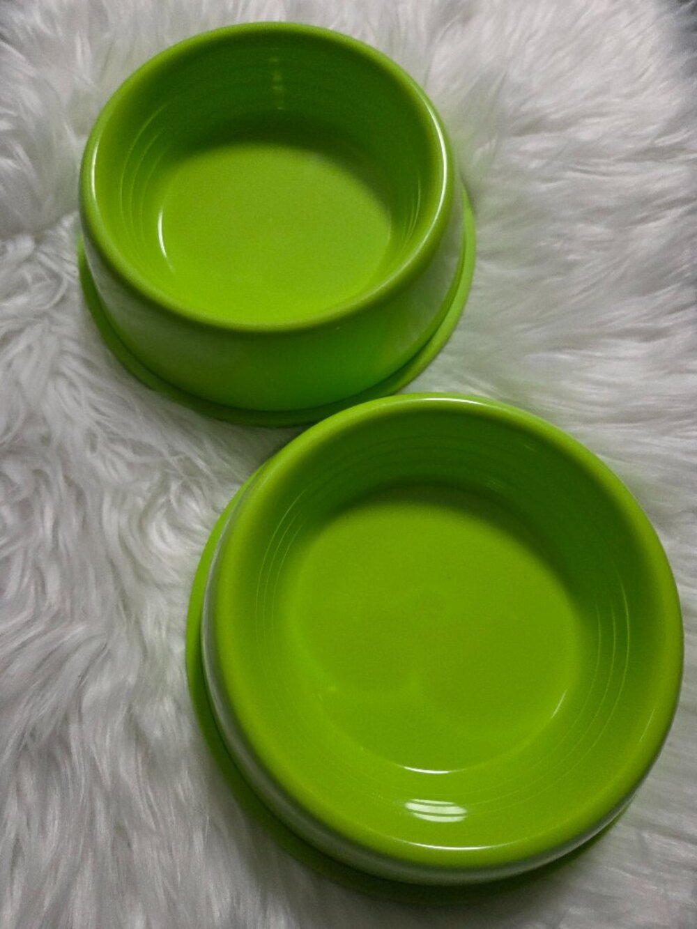 Sun Squad Set of 2 Dog Bowls